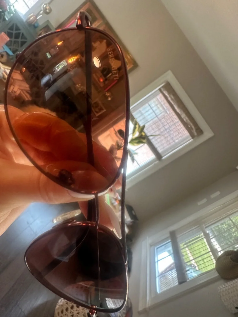 Serengeti elite sunglasses